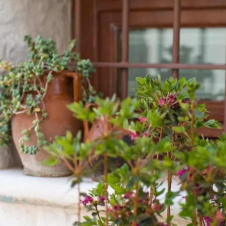 Le Alcove - Luxury Nei Trulli Hotel